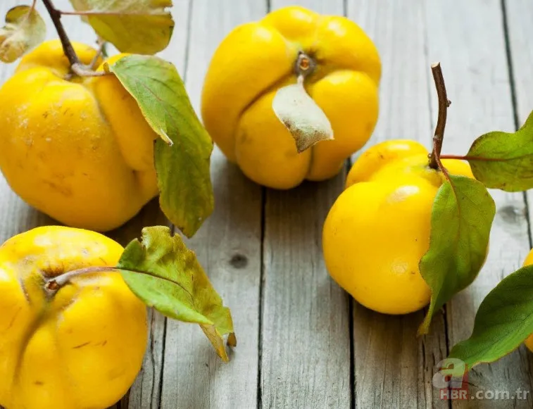 Öksürüğü yok etmenin doğal tarifi! İşte doğal öksürük şurubu... 18