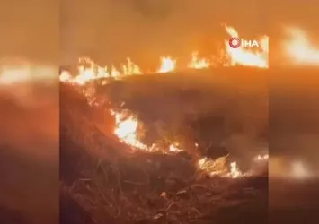 Çırçır Tepesi'ndeki yangın korkuttu