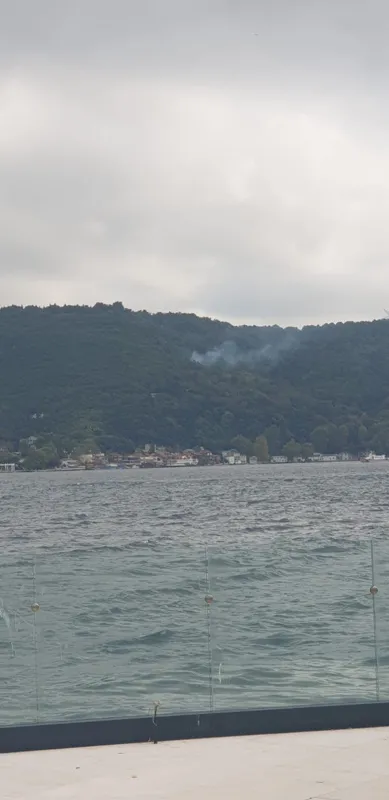 Son dakika: Beykoz’da orman yangını