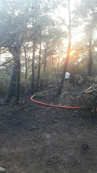 Son dakika: Büyükada'da korkutan orman yangını - 1