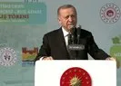 Başkan Erdoğan’dan Kılıçdaroğlu’na gönderme!