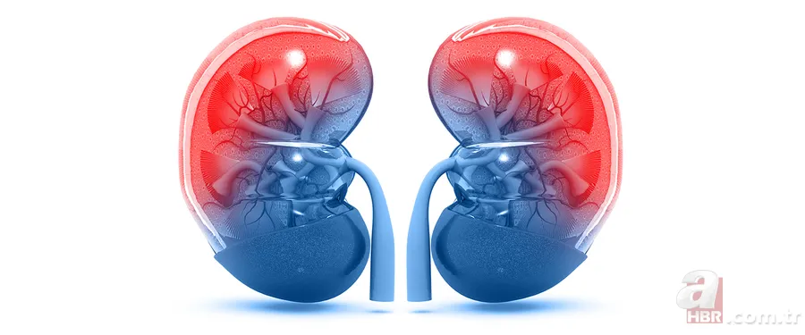 Böbrek dokusunu bozuyor 15