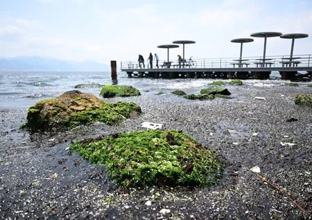 Tunç Soyer’e ünlü profesörden net tavır: Tam bir facia! | İzmir Körfezi’nde kirlilik 20 yılın doruğunda!
