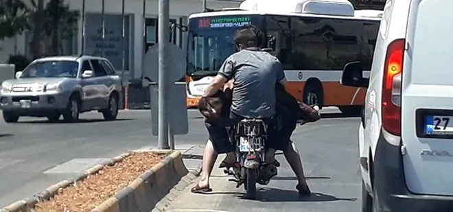Gaziantep’te motosiklete iki kişi ve bir koyun bindiler!