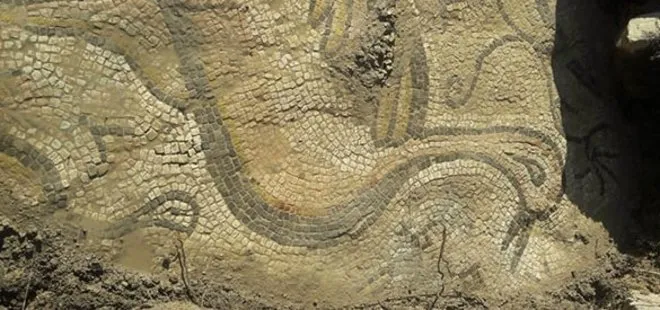 Adıyaman’da çiftçiler, Bizans dönemine ait ördek figürlü mozaik buldu