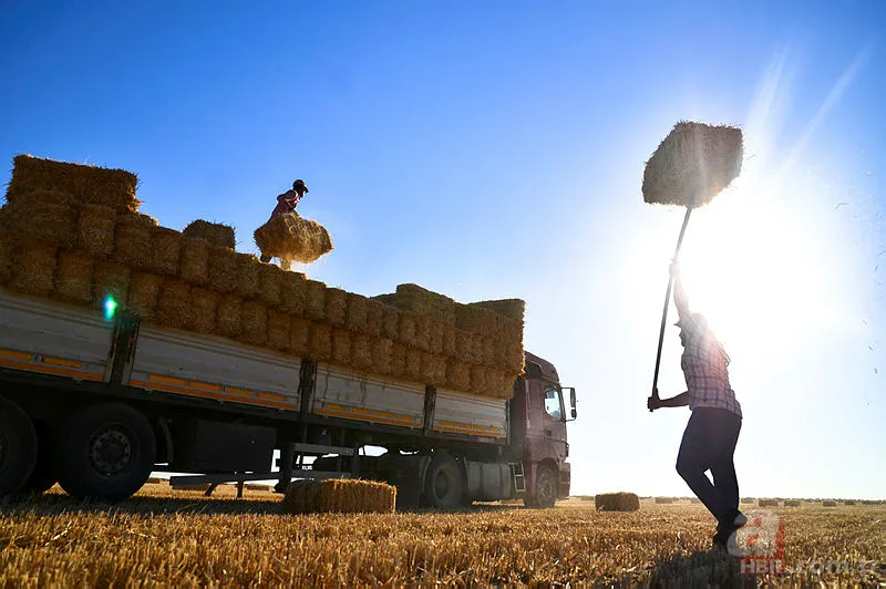 1 Mayıs'ta ne oldu? 1 Mayıs İşçi Bayramı nasıl ortaya çıktı? Emek ve Dayanışma Günü ne zaman resmi tatil oldu? 10