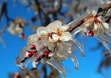 Kastamonu için zirai don uyarısı
