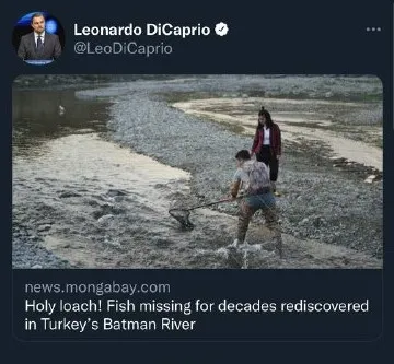 dunyaca-unlu-oyuncu-leonardo-dicaprionun-turkiye-paylasimi-dikkat-cekti-tam-47-sene-sonra-1641550749270.jpg Dünyaca ünlü oyuncu Leonardo DiCaprio’nun Türkiye paylaşımı dikkat çekti: Tam 47 sene sonra… - 5