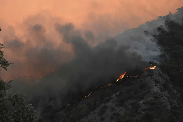 AK Parti Sözcüsü Ömer Çelik’ten Adana’da yangınlara yönelik son dakika açıklamaları