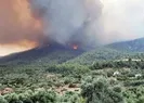 Aydın ve Karabükte orman yangın