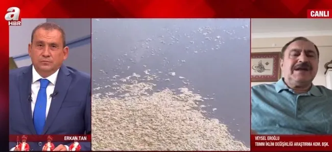 Müsilaj sorunu nasıl çözülecek? Erken seçim talebinin amacı ne? AK Parti döneminde çevre ve orman yatırımları neler? - 4