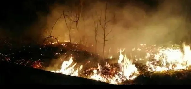 Karadeniz’deki orman yangınlarını PKK üstlendi