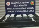 2 İranlı Havalimanında tutuklandı