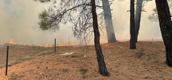 Antalya’da orman yangını: Havadan ve karadan müdahale ediliyor