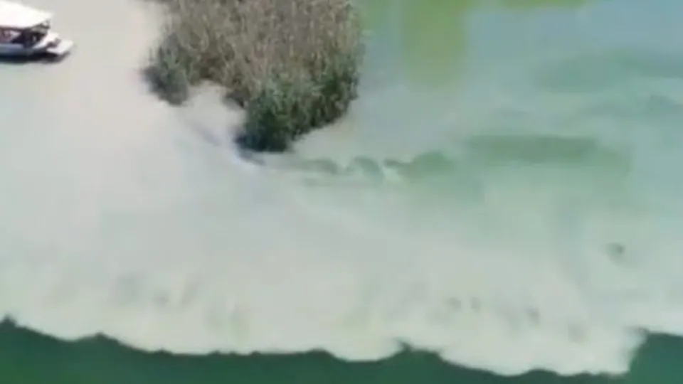 Dalyan kanalının rengi değişti