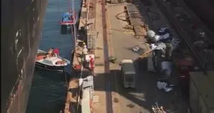Tuzla’da toplanan midyeler ölüm saçıyor