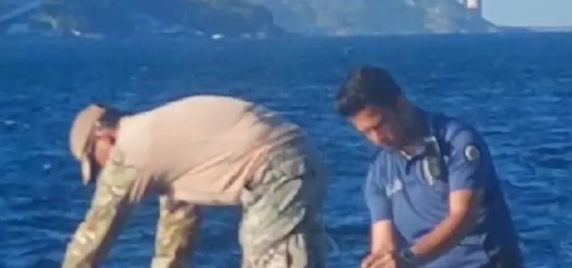 İstanbul Boğazı'nda büyük panik! Herkes mayın sandı gerçek başka çıktı! Salyangoz avlarken buldular