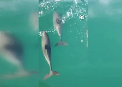 Balıkçı teknesine eşlik ettiler