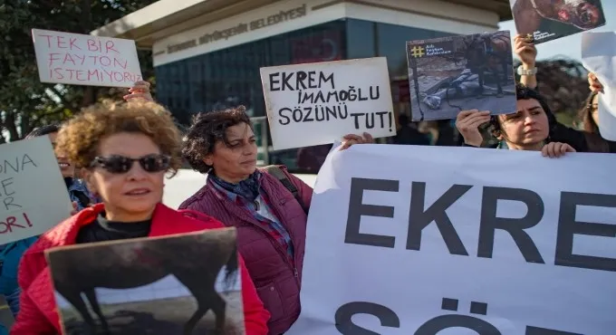 Büyükada’da 81 at itlaf edildi, halk sokaklara döküldü: Ekrem İmamoğlu, bundan siz sorumlusunuz