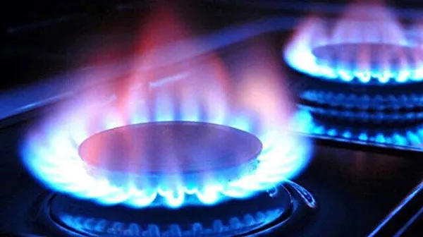 Başkan Recep Tayyip Erdoğan’dan Kabine Toplantısı sonrası son dakika açıklamaları! Mısır alım fiyatı belli oldu