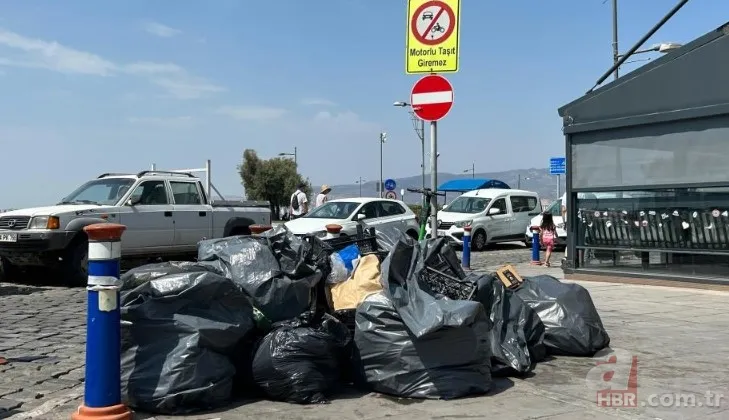 İzmir'de halkı isyan ettiren görüntüler! Karada çöp dağları, havada pis koku ve denizde balık ölümleri... 18