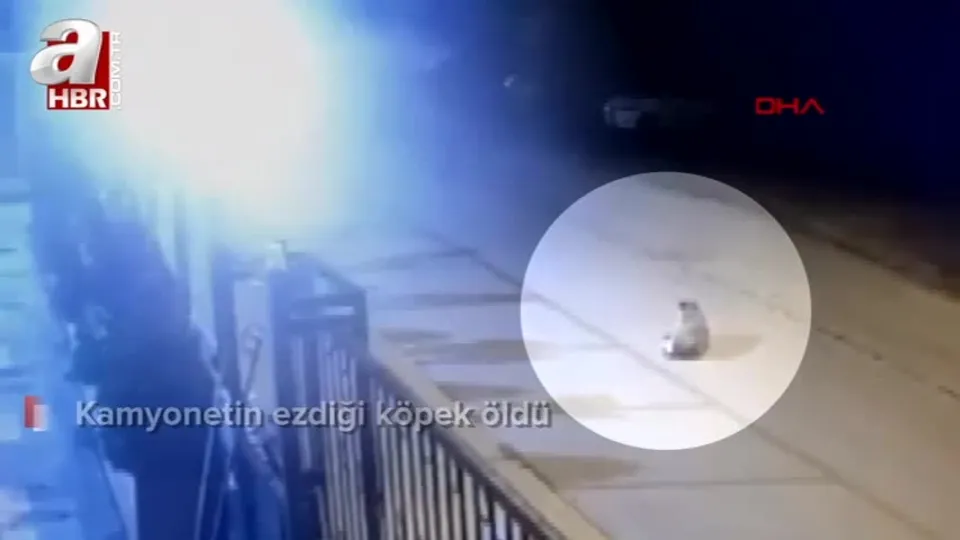 Köpeği ezdi durmadan yoluna devam etti