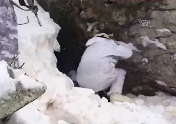 Mehmetçik Şırnak'ta teröristlerin inine girdi