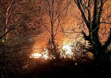 Zonguldak'ta ağaçlık alanda yangın paniği!