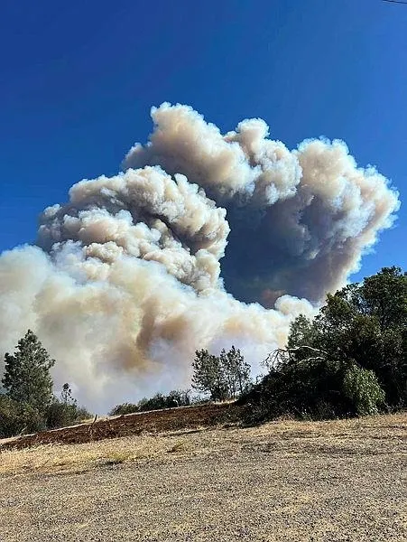 tarihin-en-buyuk-4-orman-yangini-400-bin-donumden-fazla-alan-kul-oldu-1722799387862.jpeg ABD'nin California eyaletindeki ʺPark Yangınıʺ