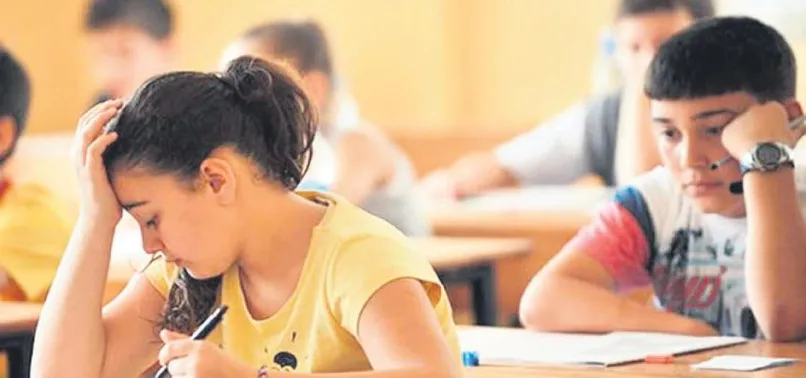 Liselere girişte sosyal proje kriteri