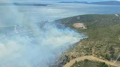 İzmir’de orman yangını