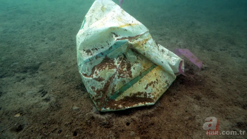 Utandıran görüntü: Maske-poşet-şişe... 2