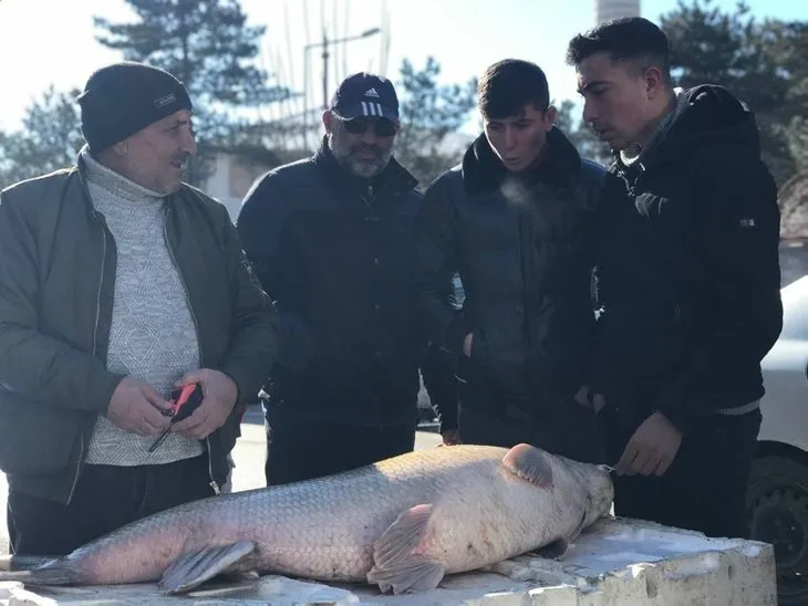 Erzincan’da balık tezgahını görenler gözlerine inanamadı! Vatandaşlar dönüp fotoğraf çektirdi