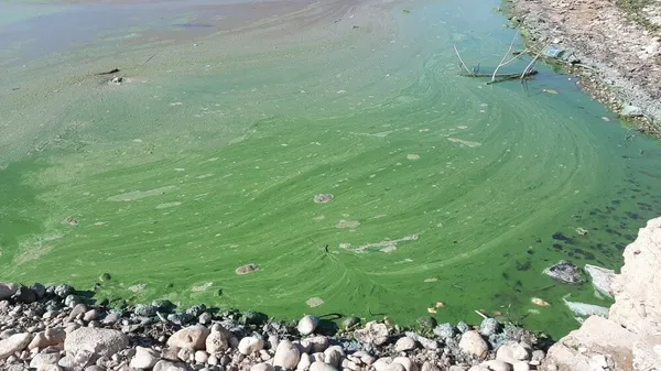 barajlar bir gecede doldu iste yeni