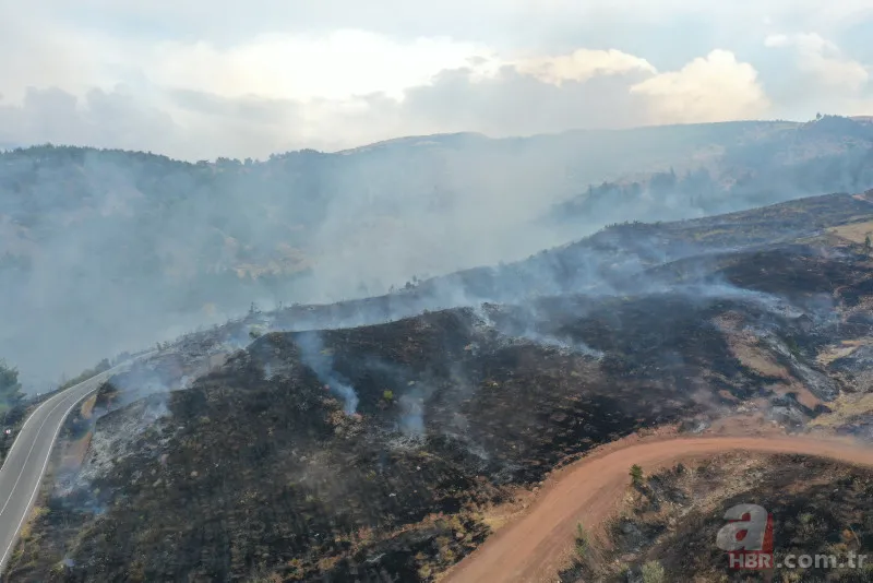 Kahramanmaraş'taki orman yangınının nedeni ortaya çıktı! Torpil şakası 80 hektarı küle döndürdü 6