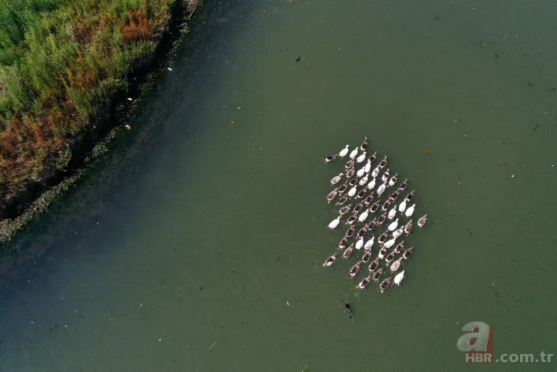 CHP'li İBB'nin Haliç yalanı! Kirlilik yine gün yüzüne çıktı 8