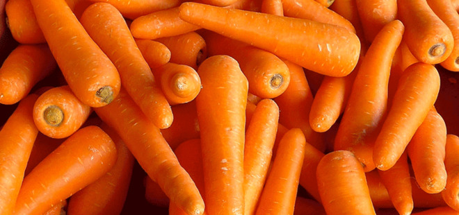 Uyumadan önce 1 tane havuç yemenin ilginç faydası!