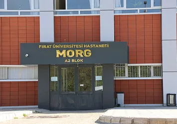 Dağlık alanda kayalıklardan düşen kişi hayatını kaybetti