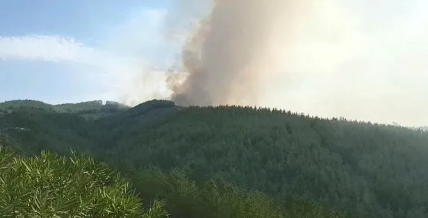 Son dakika: Kahramanmaraş'ta orman yangını! Vali Coşkun'dan flaş açıklama - 1