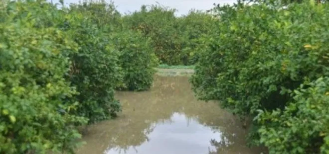 Adana’da yoğun sağanak yağış sebebiyle tarım arazileri sular altında kaldı