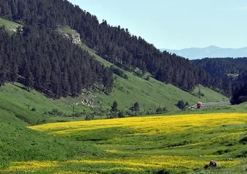 Keklik Vadisi'nde bahar güzelliği!