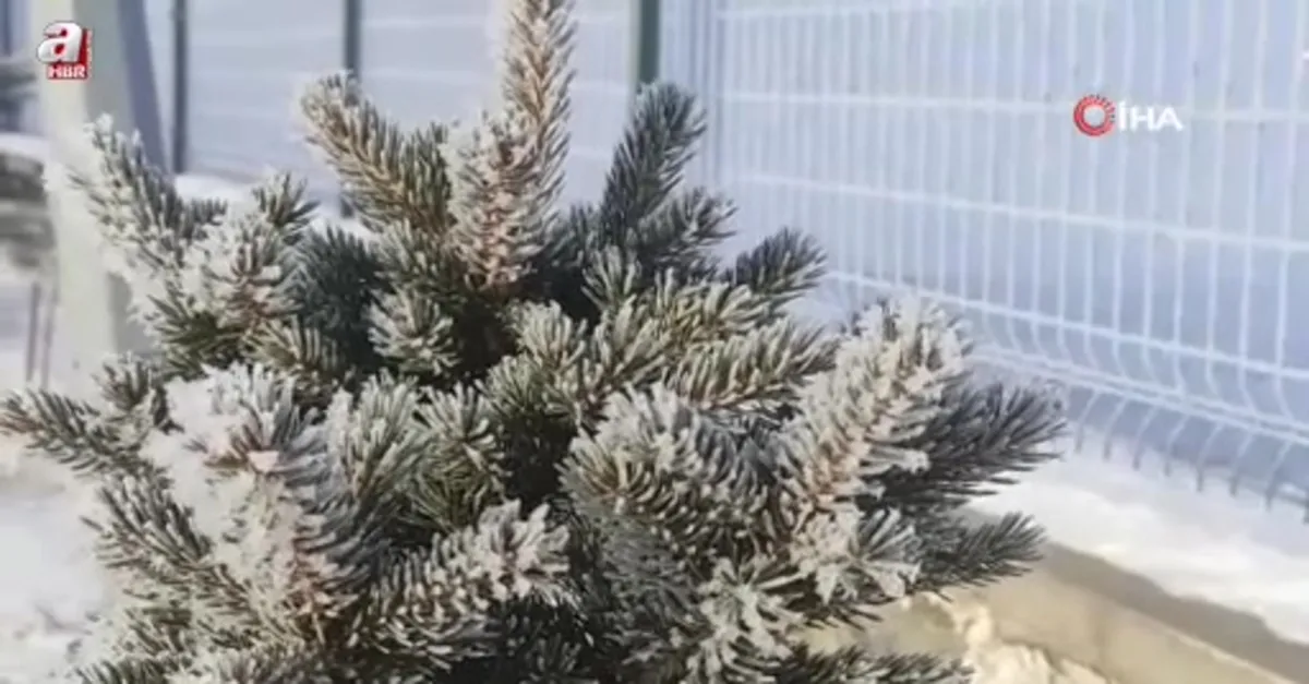 Ardahan'ın Göle ilçesi buz kesti