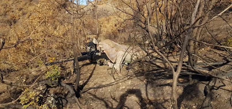 Son dakika: Bakanlık duyurdu! Bitlis’te Yıldırım-16 Sehi Ormanları' operasyonu başlatıldı