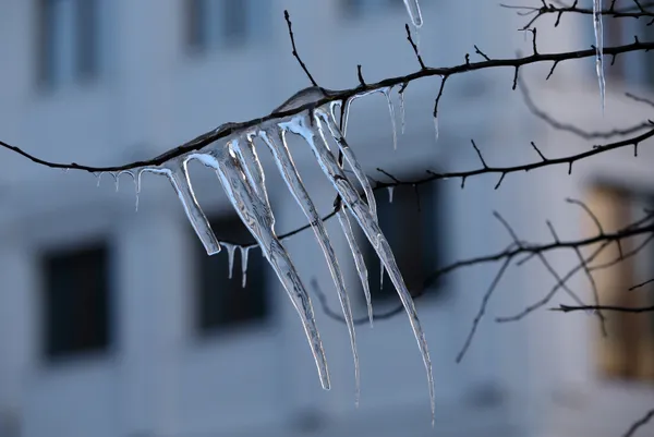 1609771361310.jpg Meteoroloji'den uyarılar peş peşe geldi: Bu gece yarısından itibaren... | İstanbul'a kar yağacak mı? - 4