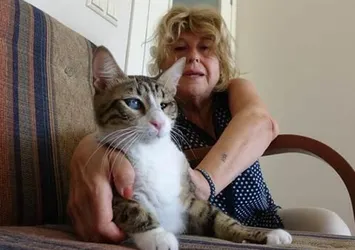 Kocaeli'de bir kadın kedi beslediği için evden çıkartıldı