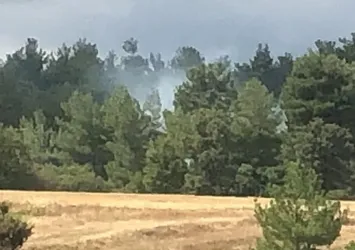 Kütahya'da ormanlık alana yıldırım düştü! Başlayan yangın söndürüldü