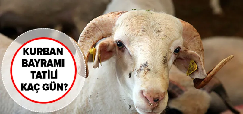 kurban bayrami 9 gun tatil olacak mi