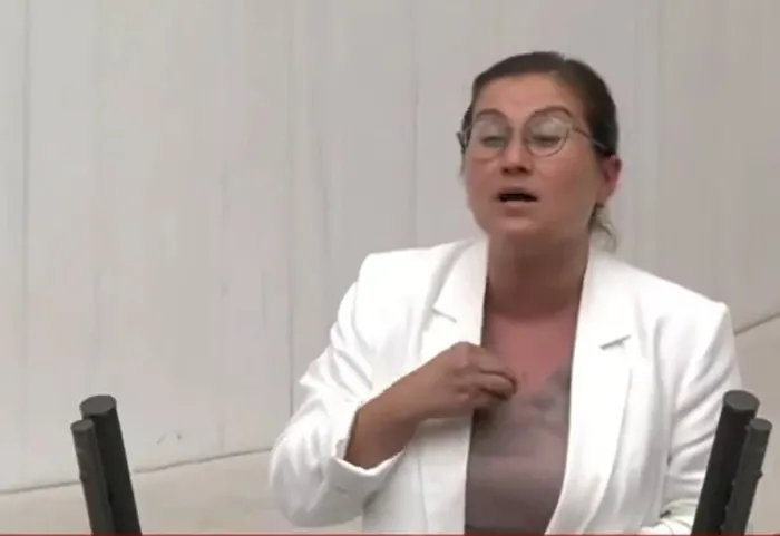 basibos-kopek-duzenlemesinde-ilk-5-madde-meclisten-gecti-otanaziye-atifta-da-var-hangi-durumlarda-uygulanacak-1722246084948.jpeg DEM Parti İzmir vekili Burcugül Çubuk