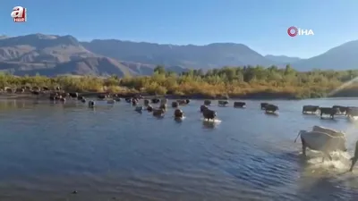 Karşıya yürüyerek geçtiler