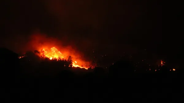 Son dakika | Antalya'da bir orman yangını daha! - 2
